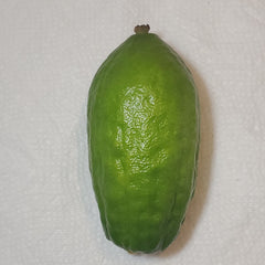 120 Yanover Esrog - EasyEtrog.com