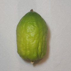 128 Yanover Esrog - EasyEtrog.com