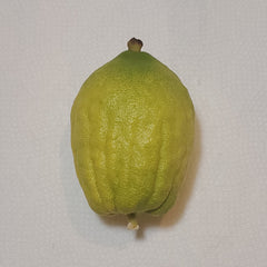 133 Yanover Esrog - EasyEtrog.com