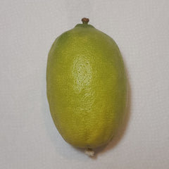 135 Yanover Esrog - EasyEtrog.com