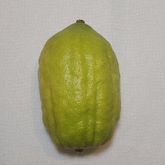 136 Yanover Esrog - EasyEtrog.com