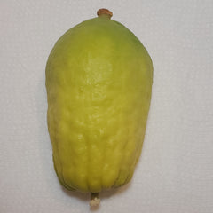 145 Yanover Esrog - EasyEtrog.com
