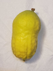 101 Yanaver Esrog - EasyEtrog.com