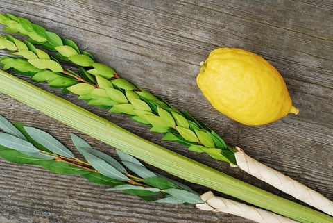 Basic Kosher Lulav and Etrog set from Israel - Lulav and Etrog