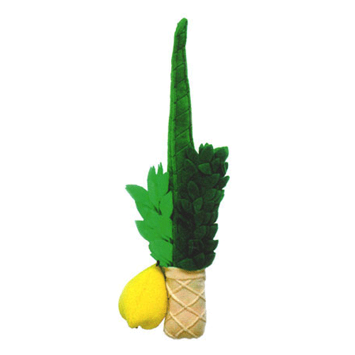 Plush Lulav and Etrog Play Set - EasyEtrog.com